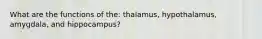 What are the functions of the: thalamus, hypothalamus, amygdala, and hippocampus?