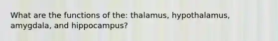 What are the functions of the: thalamus, hypothalamus, amygdala, and hippocampus?