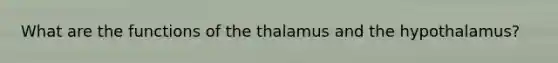 What are the functions of the thalamus and the hypothalamus?