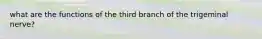 what are the functions of the third branch of the trigeminal nerve?