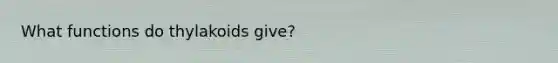 What functions do thylakoids give?