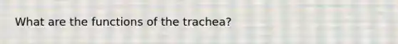 What are the functions of the trachea?