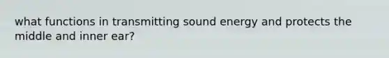 what functions in transmitting sound energy and protects the middle and inner ear?