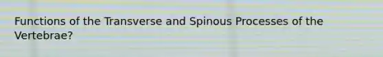 Functions of the Transverse and Spinous Processes of the Vertebrae?