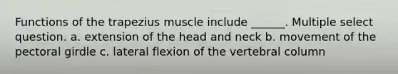 Functions of the trapezius muscle include ______. Multiple select question. a. extension of the head and neck b. movement of the <a href='https://www.questionai.com/knowledge/kLFI0fCi1K-pectoral-girdle' class='anchor-knowledge'>pectoral girdle</a> c. lateral flexion of the <a href='https://www.questionai.com/knowledge/ki4fsP39zf-vertebral-column' class='anchor-knowledge'>vertebral column</a>