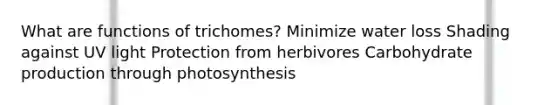 What are functions of trichomes? Minimize water loss Shading against UV light Protection from herbivores Carbohydrate production through photosynthesis