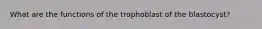 What are the functions of the trophoblast of the blastocyst?