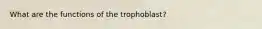 What are the functions of the trophoblast?