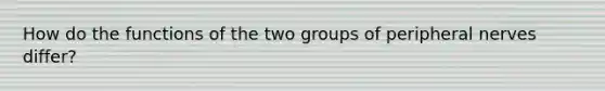 How do the functions of the two groups of peripheral nerves differ?