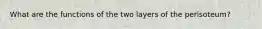 What are the functions of the two layers of the perisoteum?