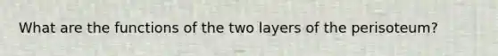 What are the functions of the two layers of the perisoteum?