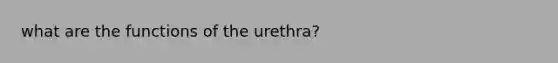 what are the functions of the urethra?