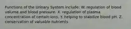 Functions of the Urinary System include: W. regulation of blood volume and blood pressure. X. regulation of plasma concentration of certain ions. Y. helping to stabilize blood pH. Z. conservation of valuable nutrients