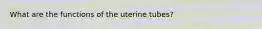 What are the functions of the uterine tubes?