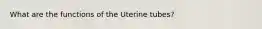 What are the functions of the Uterine tubes?