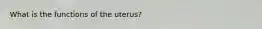 What is the functions of the uterus?