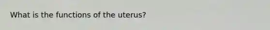 What is the functions of the uterus?