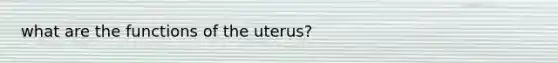 what are the functions of the uterus?