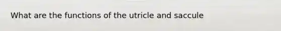 What are the functions of the utricle and saccule