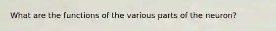 What are the functions of the various parts of the neuron?