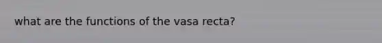 what are the functions of the vasa recta?