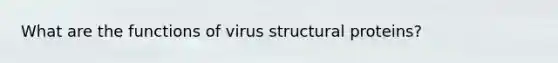 What are the functions of virus structural proteins?