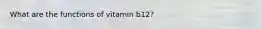 What are the functions of vitamin b12?