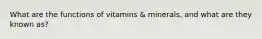 What are the functions of vitamins & minerals, and what are they known as?