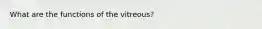 What are the functions of the vitreous?