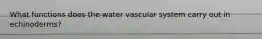 What functions does the water vascular system carry out in echinoderms?