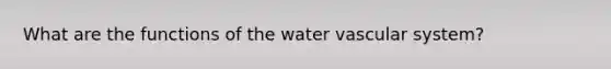 What are the functions of the water vascular system?