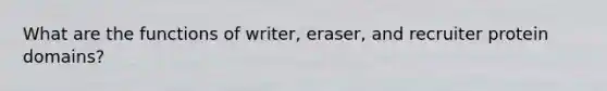 What are the functions of writer, eraser, and recruiter protein domains?