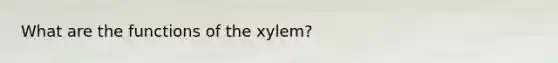 What are the functions of the xylem?