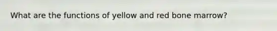 What are the functions of yellow and red bone marrow?