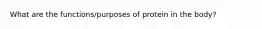 What are the functions/purposes of protein in the body?