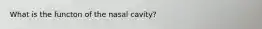 What is the functon of the nasal cavity?