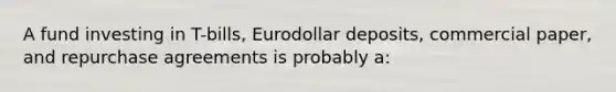 A fund investing in T-bills, Eurodollar deposits, commercial paper, and repurchase agreements is probably a: