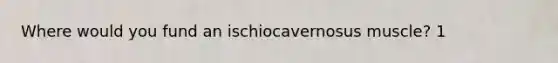 Where would you fund an ischiocavernosus muscle? 1