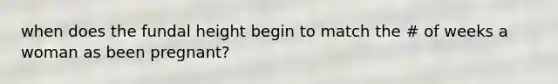when does the fundal height begin to match the # of weeks a woman as been pregnant?