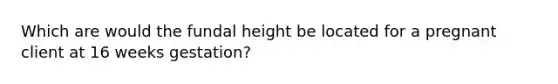 Which are would the fundal height be located for a pregnant client at 16 weeks gestation?