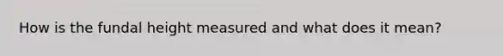 How is the fundal height measured and what does it mean?