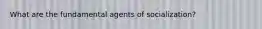 What are the fundamental agents of socialization?