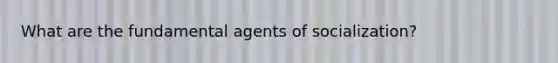 What are the fundamental agents of socialization?