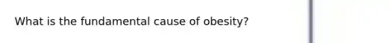What is the fundamental cause of obesity?