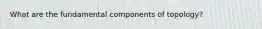 What are the fundamental components of topology?