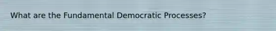 What are the Fundamental Democratic Processes?