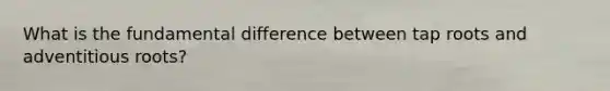 What is the fundamental difference between tap roots and adventitious roots?