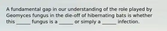 A fundamental gap in our understanding of the role played by Geomyces fungus in the die-off of hibernating bats is whether this ______ fungus is a ______ or simply a ______ infection.