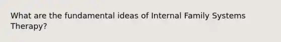 What are the fundamental ideas of Internal Family Systems Therapy?