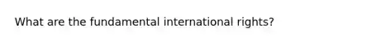 What are the fundamental international rights?